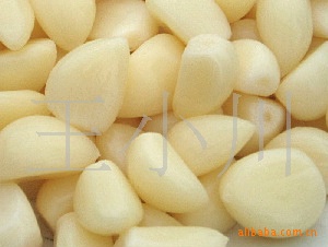 2011ʴ⹺ӹ