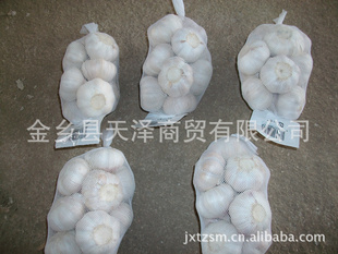 加工高品出口标准金乡紫皮大蒜(各种规格)
