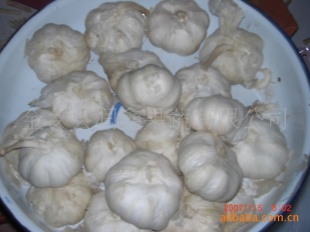 出口级保鲜大蒜保格