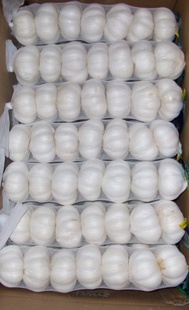 2012ڴ⣨ͼ