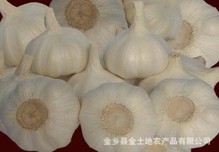 ֮糣ӹװƤƤ⻶ӭѡ
