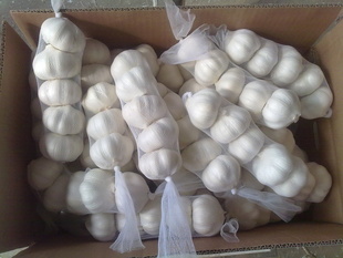 ڴ⣬chinagarlic,⣬250g⣬5P