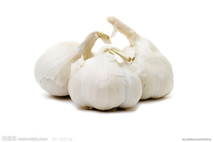 ڹ޹˾