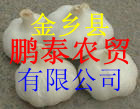 ̩ũó׼ڼ