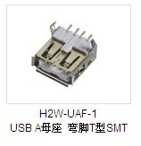 H2W-UAF-1USBAĸTSMT