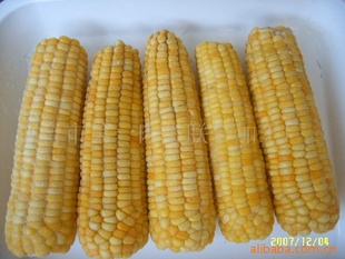۸ٶʳƷŴװ
