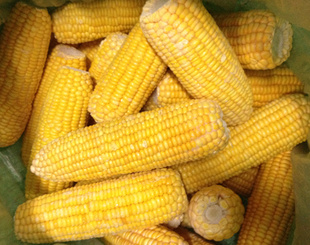䶳װ15cm