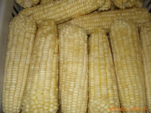 “”ٶճŴ