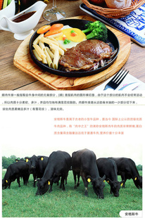 ƷϹʽڰ˹ţ200gƷţʳ