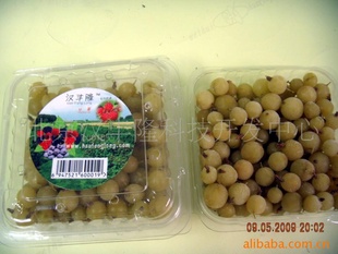 ¡ٶݭݮ׼أfrozengooseberry