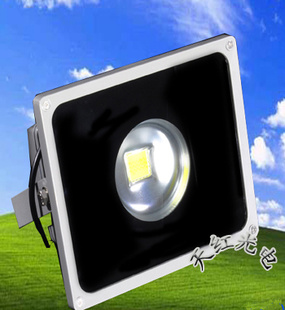 80WLEDLEDƾֱ߳ROHS/CE