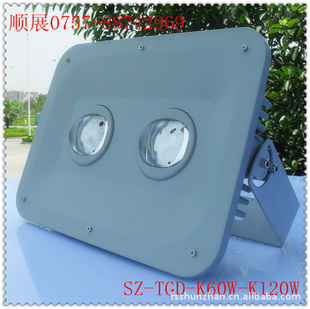 LEDɻ60-120WͶǣƣ