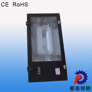CEϸЧ300w