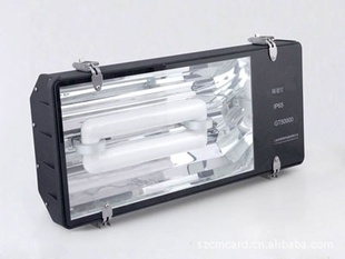 ֱ80W300W