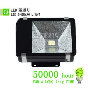 ֱ100WLED