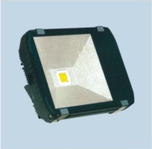 LED100W