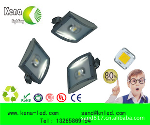 LEDƹͶULIP65