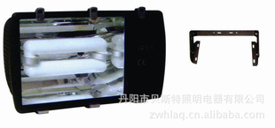 BST-W700