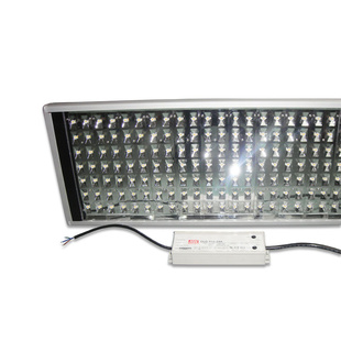 ֱled182W~196W