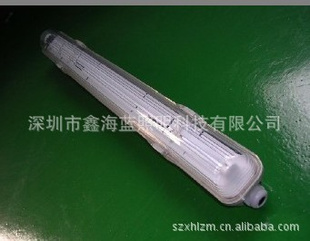 T528WӦƾ