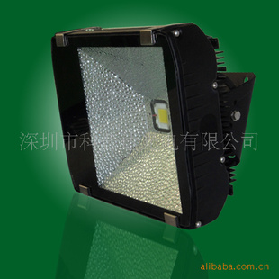 100Wled100W