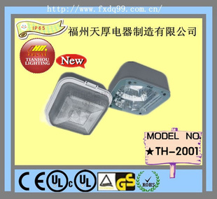 150Wled׼͵[TH-2001]