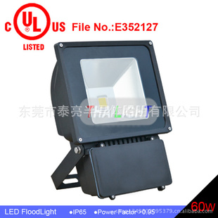LEDƾ60W