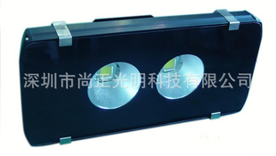LEDƳֱ60100W,·