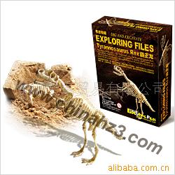 DIY玩具DIY栽培工艺礼品考古挖掘