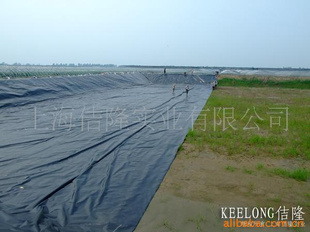 "KEELONG٥¡"ˮطPEĤ