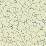 PVCܽذPVCذ
