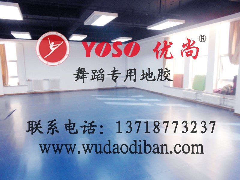 七台河舞蹈卷材地胶