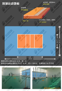 ˶sportsega򳡵ܽؽذ֦4.5mm