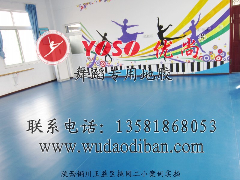 北京尚舞蹈地胶,尚舞蹈地胶