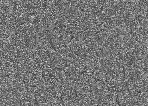 Ʒ塢ĥPVCܽذ