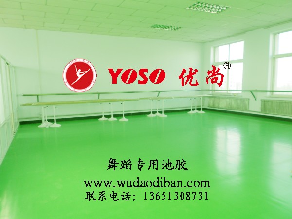 舞蹈地胶,室内塑胶舞蹈地胶,环保舞蹈地胶