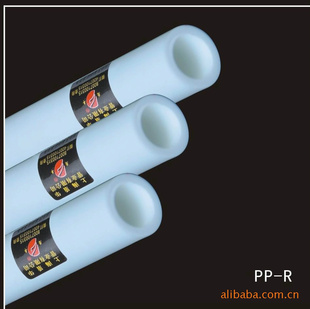 ܻPP-Rܣ