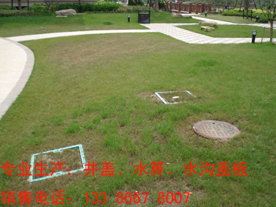 辮С񿾮ξǻƺ辮600X600X1