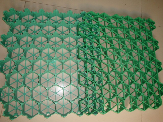 ֲݸֱ