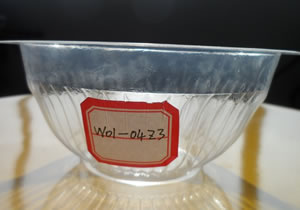 һppϻW01-04z3