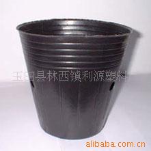 生产,常年批发零售营养钵,营养杯(图)