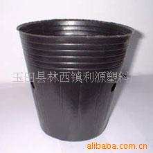 园艺营养钵,育苗杯,育苗钵(图)