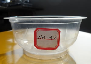 һppϻW01-01z8