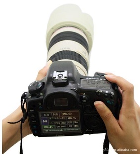 canonͷǮ޴޳