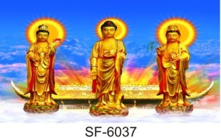 PET廭60*90廭ʥ6037