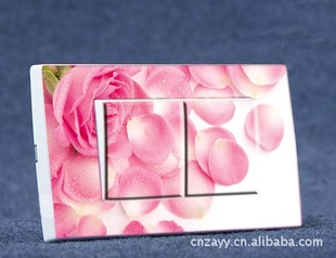 ֱDIYʽ