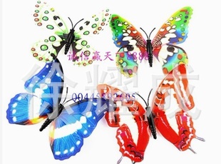 ҹҾװη