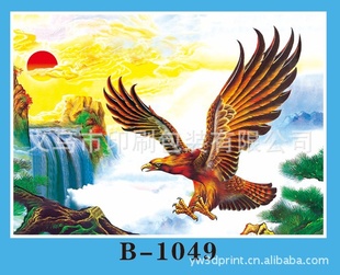 ֱPP廭60*80չͼ廭廭B-1049