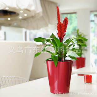 칫Ұ迾Ứ(PQ2)