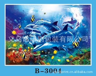 õPP廭Ҿװ60*80廭B-3004